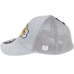 NBA Los Angeles Lakers Fitted Hat/Cap Heather Gray